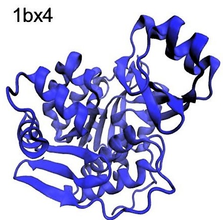 ./img/pdb2.jpg